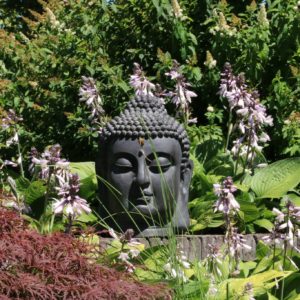 boeddha beelden kopen bij thuis in de tuin
