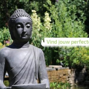 vind jouw perfecte boeddha bij thuisindetuin.nl