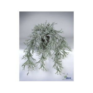 06307pp-hertshoorn-hangplant-in-pot
