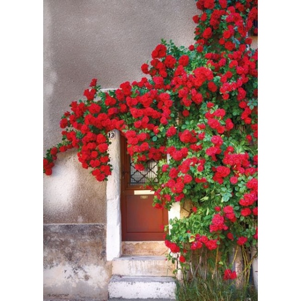 1800404166_4-buitenschilderij-door-with-red-flowers-70x130