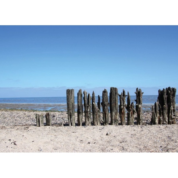 1800419166-buitenschilderij-beach-wooden-poles-collection70x130