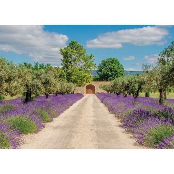 1800431166-buitenschilderij-lavender-view-with-door-collection70x130